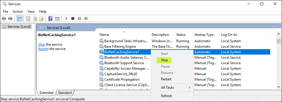 BizNet - How to install BizInsight FIS Revenue Source Code