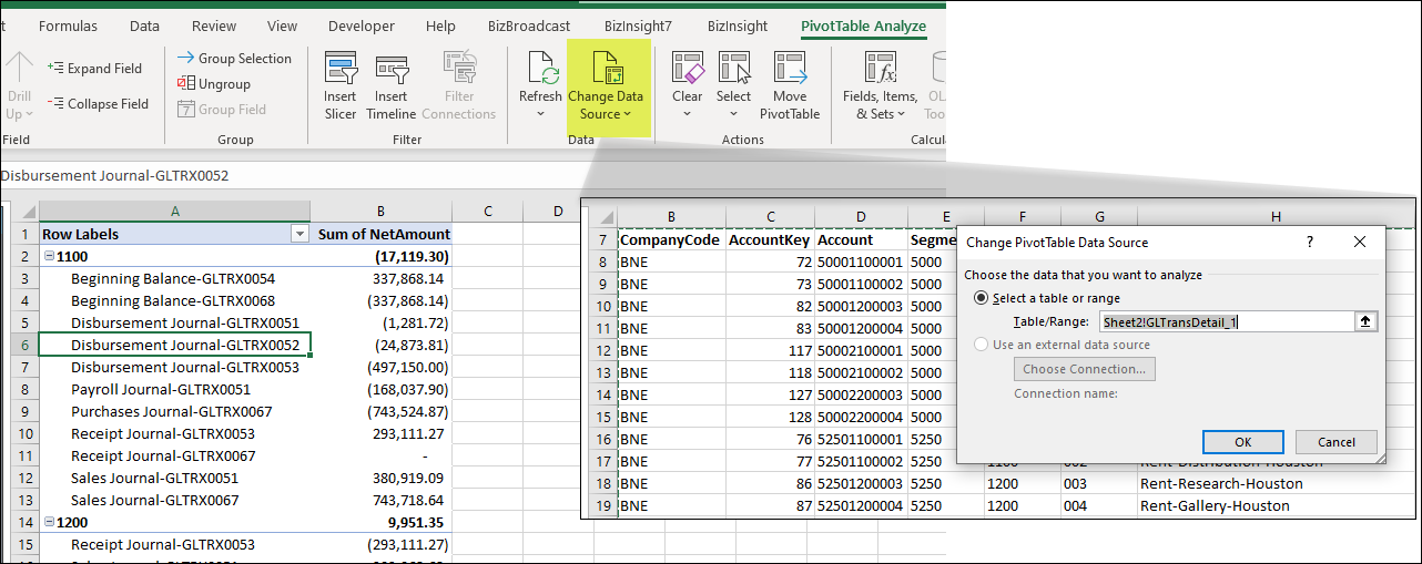 BizNet - How to provide Transaction Detail with a report
